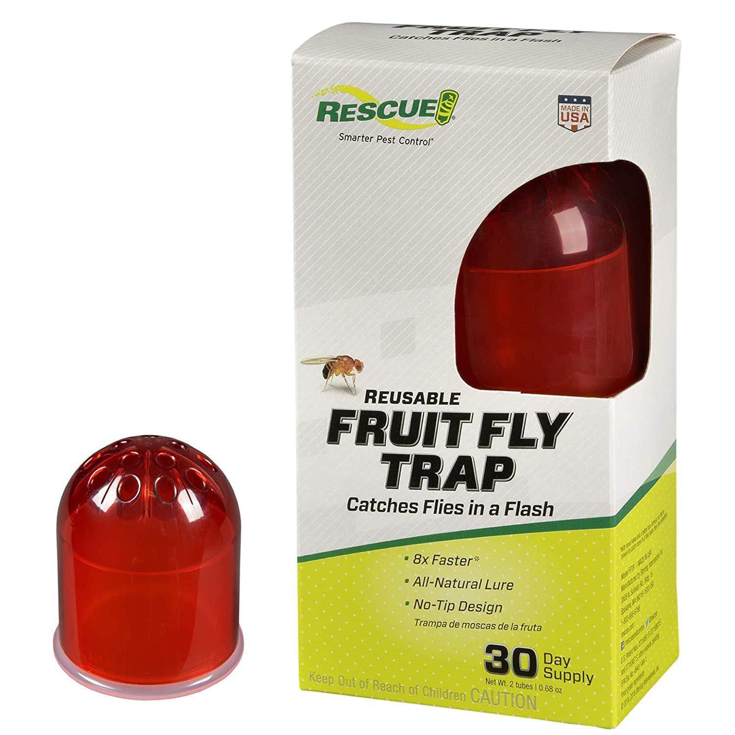Fruit Fly Traps